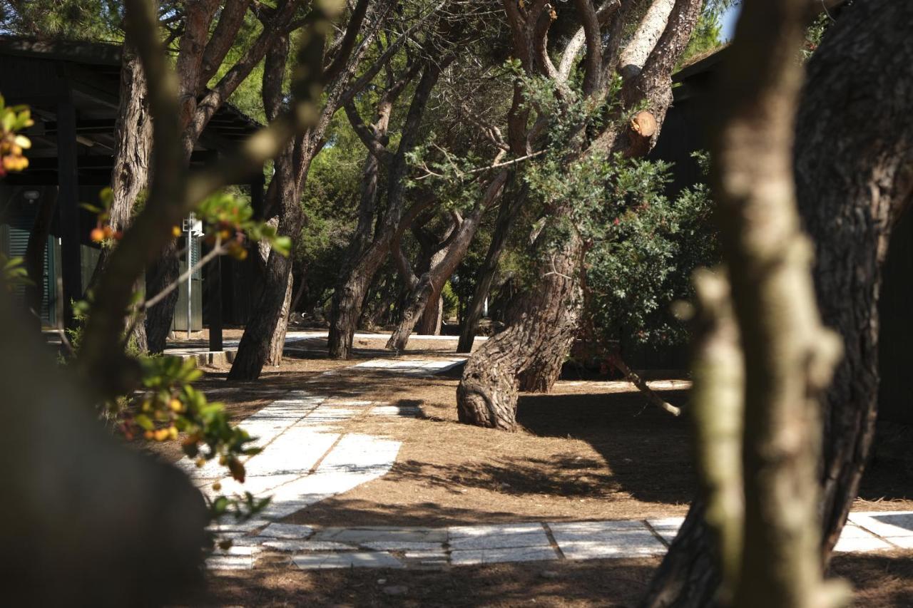Villaggio Camping Torre Del Porticciolo Porto Conte Δωμάτιο φωτογραφία